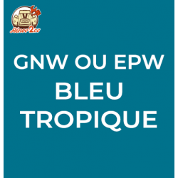 Atomiseur de peinture 400 ML net bleu tropique gnw ou epw