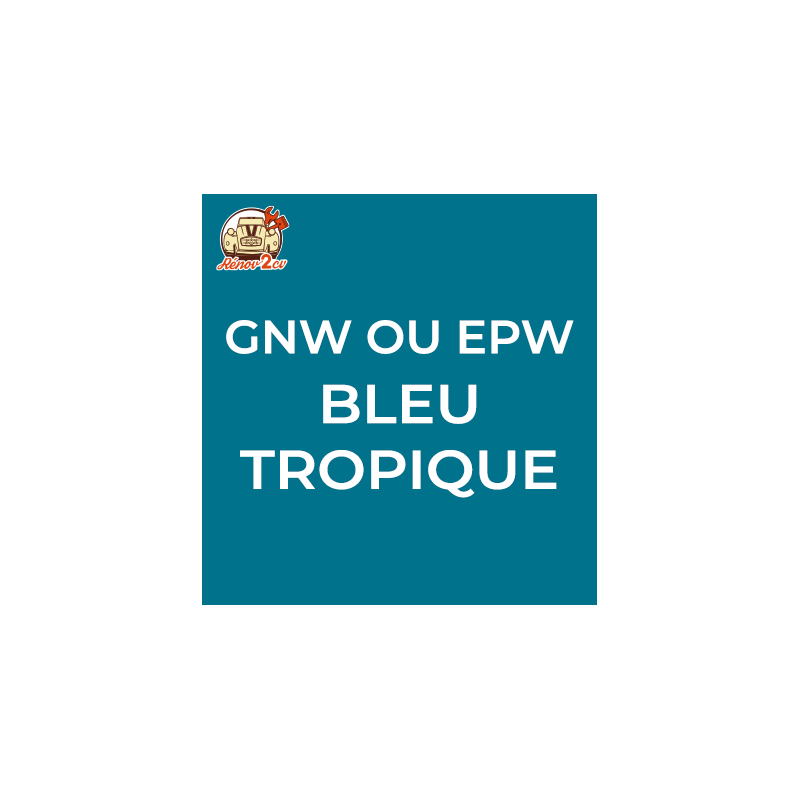 Atomiseur de peinture 400 ML net bleu tropique gnw ou epw