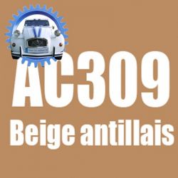 Atomiseur de peinture 400 ML net beige antillais AC309