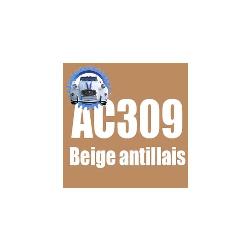 Atomiseur de peinture 400 ML net beige antillais AC309