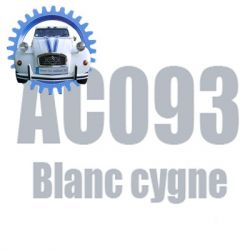 Atomiseur de peinture 400 ML net blanc cygne AC093