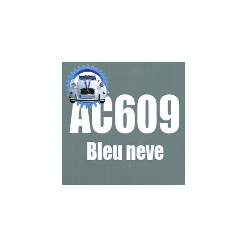 Atomiseur de peinture 400 ML net bleu neve AC609