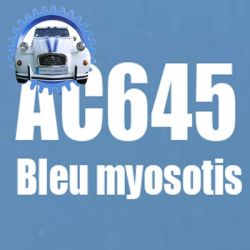 Atomiseur de peinture 400 ML net bleu myosotis AC645