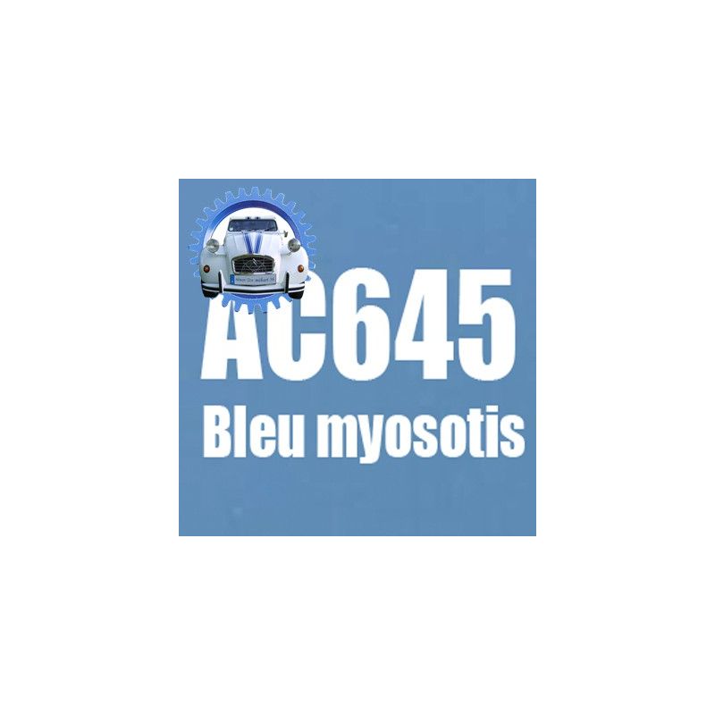 Atomiseur de peinture 400 ML net bleu myosotis AC645