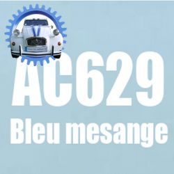 Atomiseur de peinture 400 ML net bleu mesange AC629