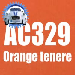Atomiseur de peinture 400 ML net orange tenere AC329