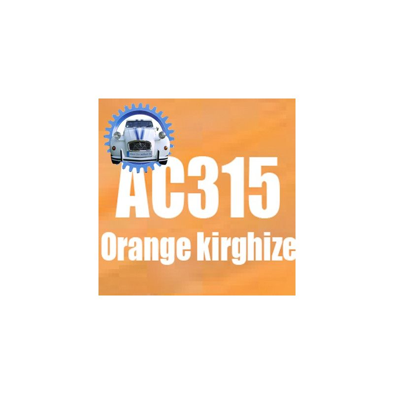 Atomiseur de peinture 400 ML net orange kirghize AC315