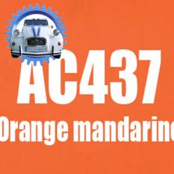 Atomiseur de peinture 400 ML net orange mandarine AC437