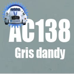 Atomiseur de peinture 400 ML net gris dandy AC138