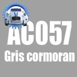 Atomiseur de peinture 400 ML net gris cormoran GVP EVP  AC057