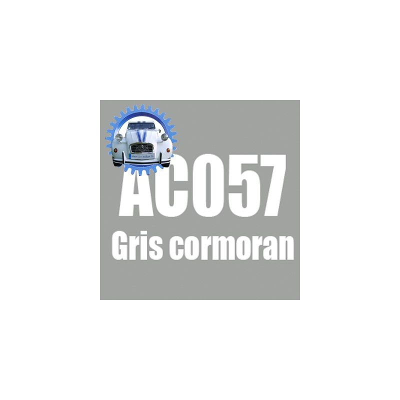 Atomiseur de peinture 400 ML net gris cormoran GVP EVP  AC057