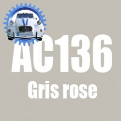 Atomiseur de peinture 400 ML net gris rose AC136