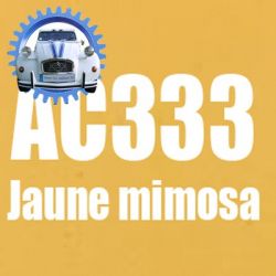 Atomiseur de peinture 400 ML net jaune mimosa AC333