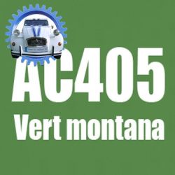 Atomiseur de peinture 400 ML net vert montana AC405