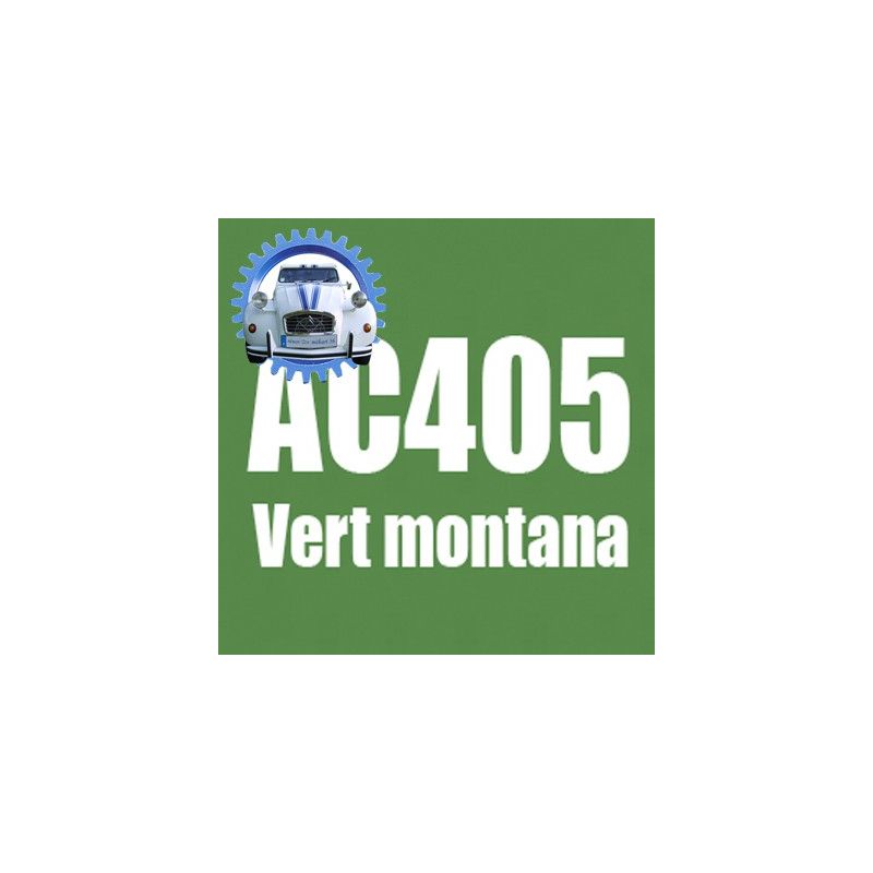 Atomiseur de peinture 400 ML net vert montana AC405