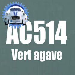 Atomiseur de peinture 400 ML net vert agave AC514