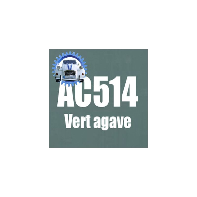 Atomiseur de peinture 400 ML net vert agave AC514