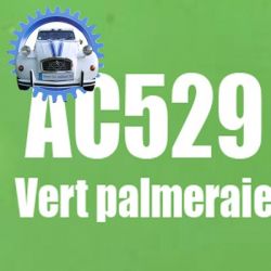 Atomiseur de peinture 400 ML net vert palmeraie AC529