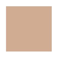 Crayon de retouche peinture AC069 BEIGE COLORADO