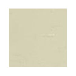 Crayon de retouche peinture AC090 BEIGE ERABLE