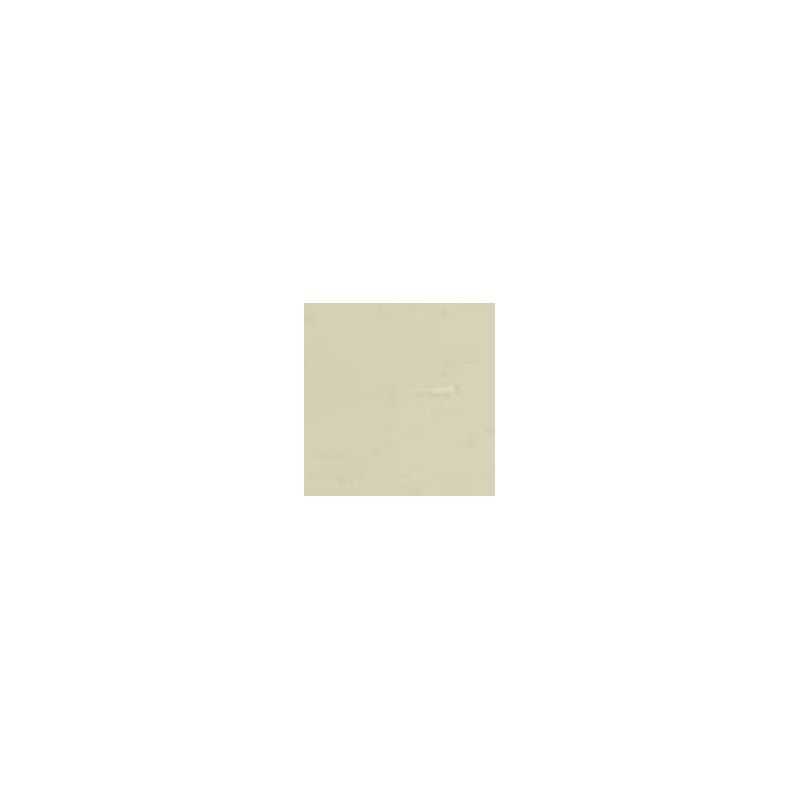 Crayon de retouche peinture AC090 BEIGE ERABLE