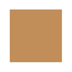 Crayon de retouche peinture AC309 BEIGE ANTILLAIS