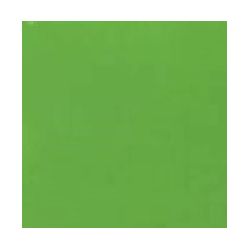 Crayon de retouche peinture AC529 VERT PALMERAIE