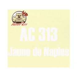 Kit peinture AC313 Jaune de Naples