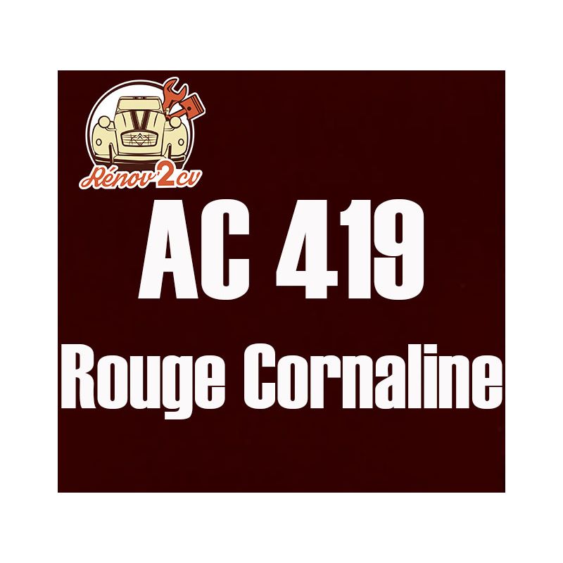 Kit peinture AC419 Rouge Cornaline